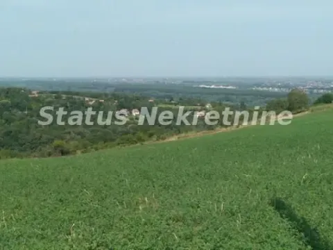 Prodaja, plac, 7600m², Ledinci, Petrovaradin - image 7