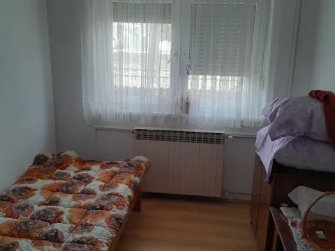 Prodaja, kuća, 200m², Bački Petrovac, Novi Sad - image 4