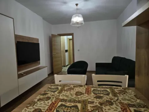 Izdavanje, jednosoban stan, 40m², Preko Morače, Podgorica - image 9