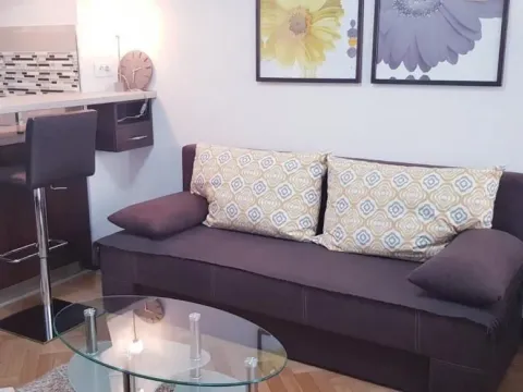 Izdavanje, jednosoban stan, 30m², Centar, Novi Sad - image 3