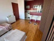 Izdavanje, jednosoban stan, 45m², Telep, Novi Sad Sve Podlokacije - image 4