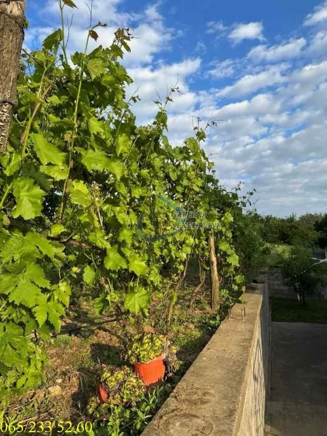 Prodaja, kuća, 100m², Konatice, Obrenovac