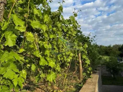 Prodaja, kuća, 100m², Konatice, Obrenovac - image 19