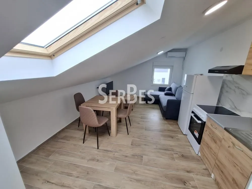 Izdavanje, stan, 25m², Adice, Novi Sad Sve Podlokacije