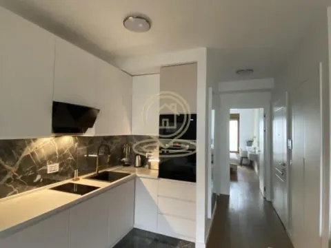 Izdavanje, dvosoban stan, 42m², Južni Bulevar, Vračar Sve Podlokacije - image 6