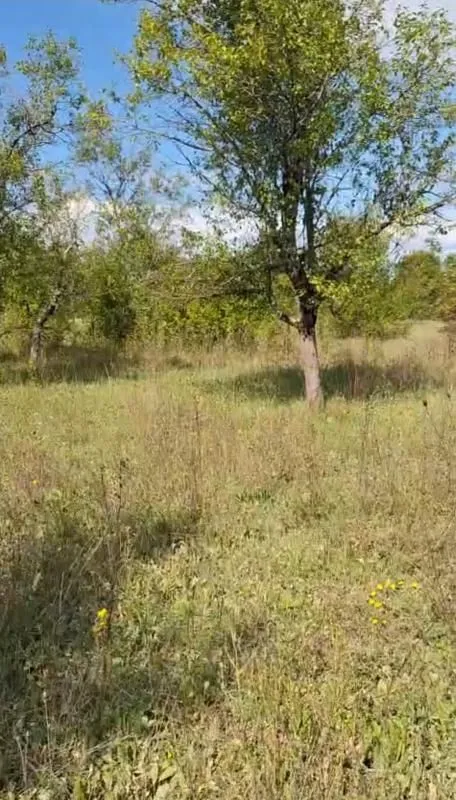 Prodaja, kuća, 45m², Nikšić, Crna Gora