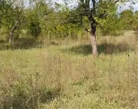 Prodaja, kuća, 45m², Nikšić, Crna Gora - image 7