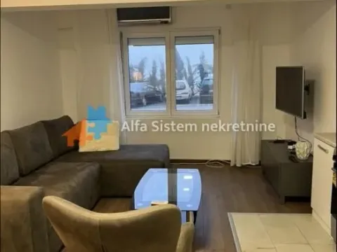 Izdavanje, dvosoban stan, 65m2, Višnjička Banja, Palilula, Beograd