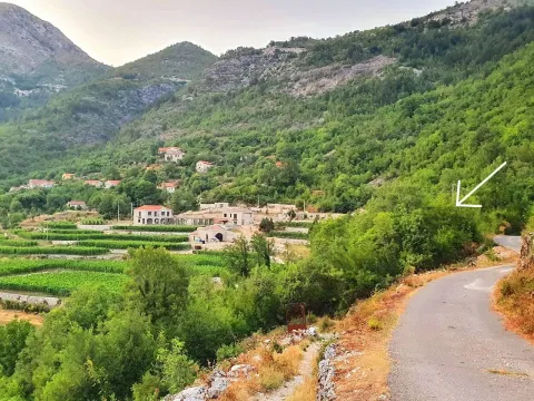 Pogled na seoski pejzaž sa putem i kućama u pozadini. - image 2