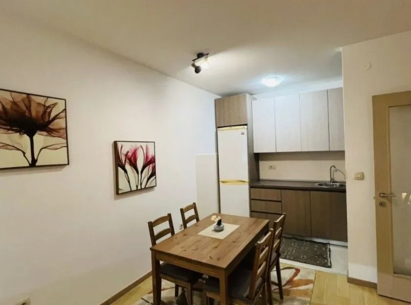 Rent, one bedroom apartment, 47m², City Kvart, Podgorica