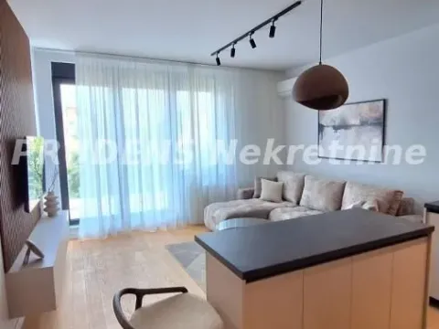 Izdavanje, dvosoban stan, 62m², Vračar Sve Podlokacije, Beograd - image 4