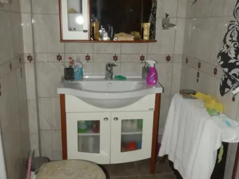 Prodaja, kuća, 380m², Pivara, Jagodina - image 89