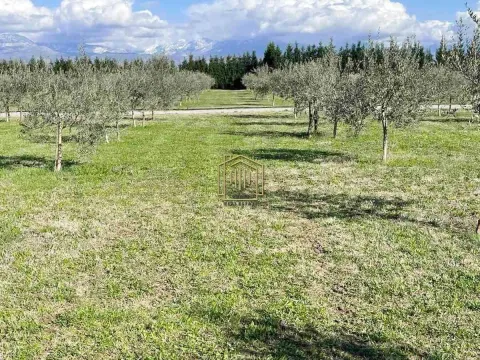 Sale, house, 122m², Golubovci, Podgorica - image 17