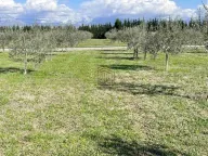 Prodaja, kuća, 122m², Golubovci, Podgorica - image 17