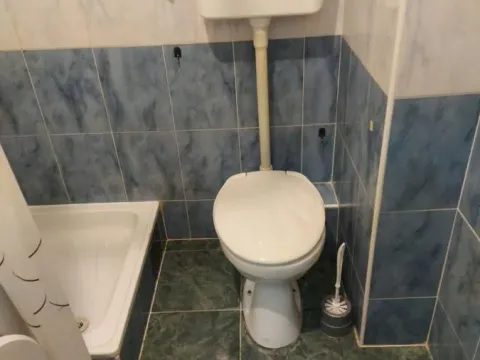 Izdavanje, garsonjera, 24m², Nova Detelinara, Novi Sad Sve Podlokacije - image 6