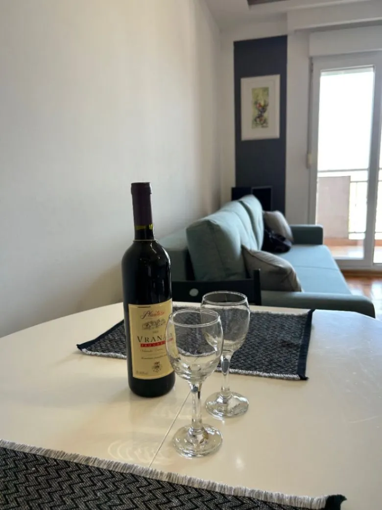 Stan-na-dan, jednosoban stan, 45m², City Kvart, Podgorica