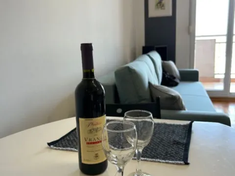 Stan-na-dan, jednosoban stan, 45m², City Kvart, Podgorica - image 9