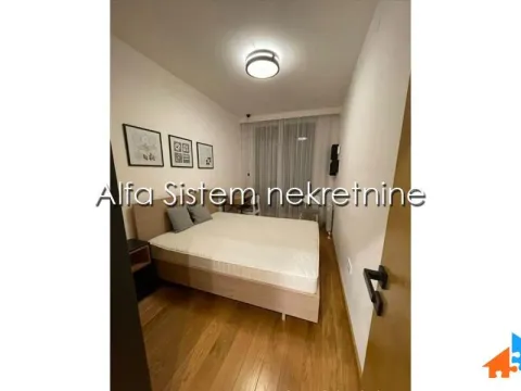 Izdavanje, dvosoban stan, 39m², Vračar Sve Podlokacije, Beograd - image 7