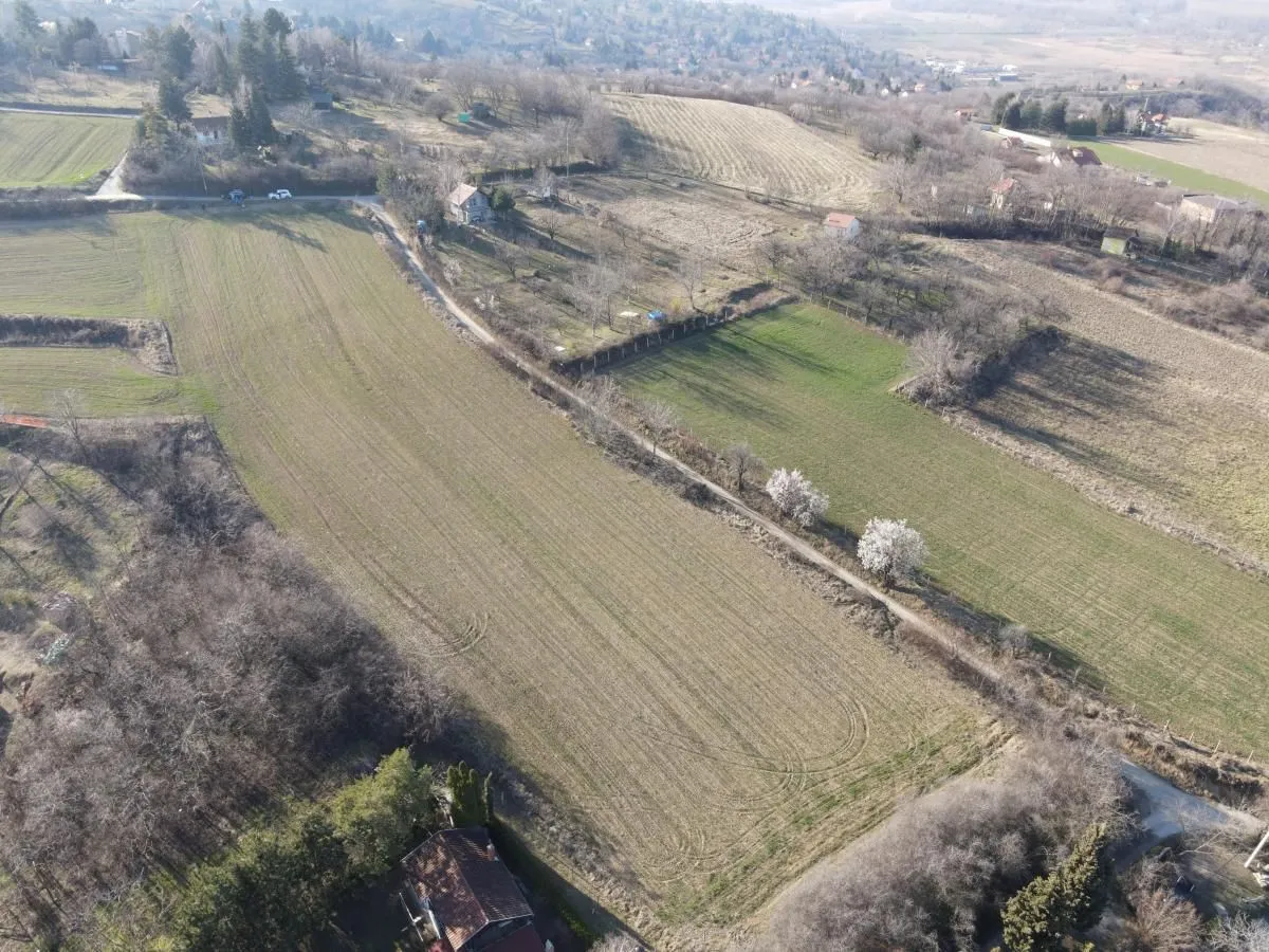 Prodaja, plac, 12268m², Ledinci, Petrovaradin