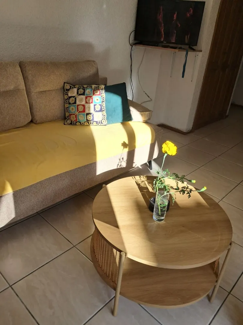 Living room with a sofa and a round coffee table.
