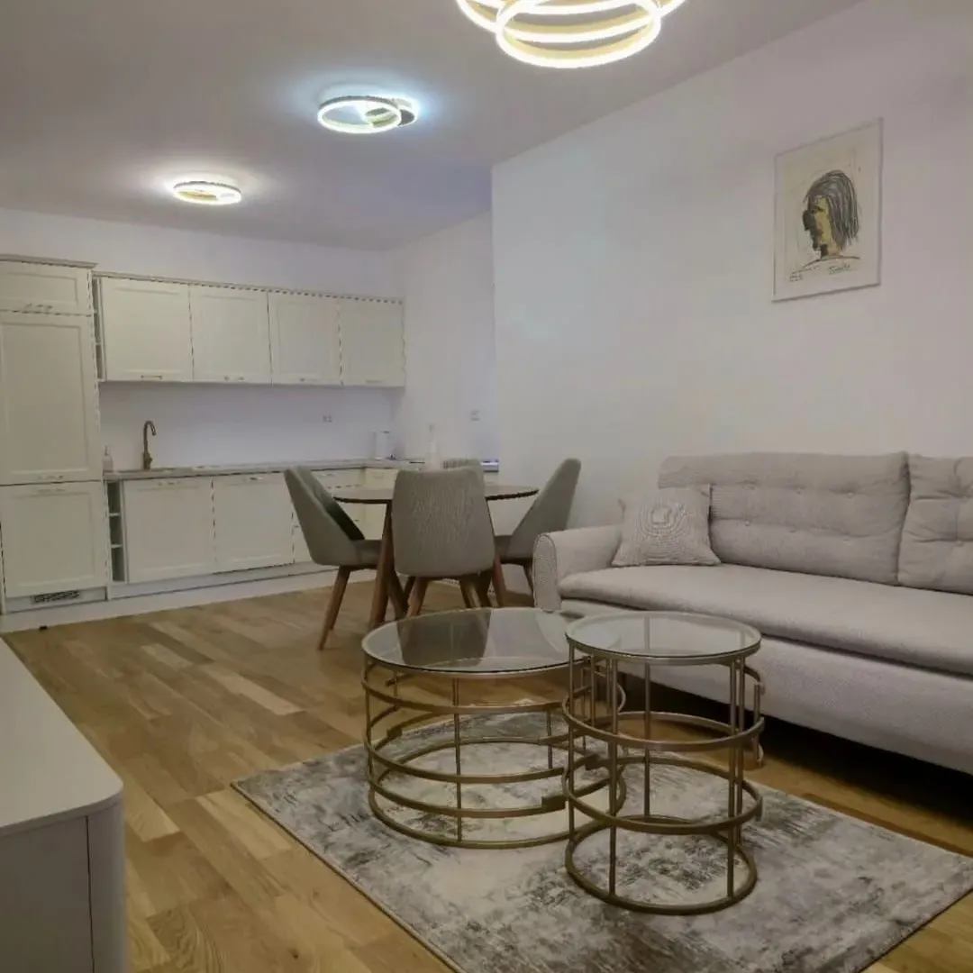 Rent, one bedroom apartment, 47m², New City, Podgorica