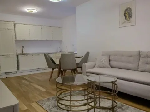 Rent, one bedroom apartment, 47m², New City, Podgorica - image 1