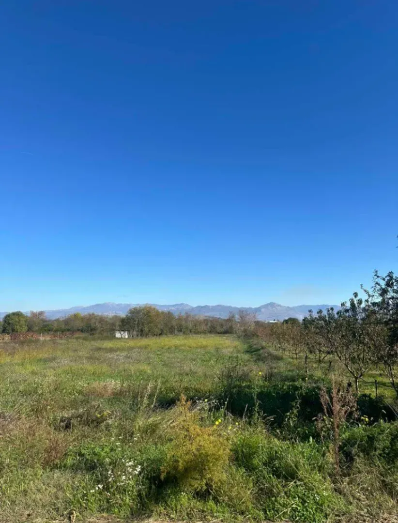 Prodaja, plac, 1000m², Podgorica, Crna Gora