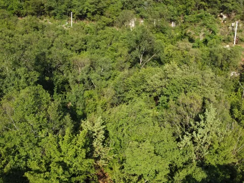 Prodaja, plac, 8000m², Mojdež, Herceg Novi - image 7