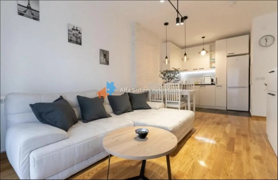 Rent, two bedroom apartment, 43m², Južni Bulevar, Vračar Sve Podlokacije