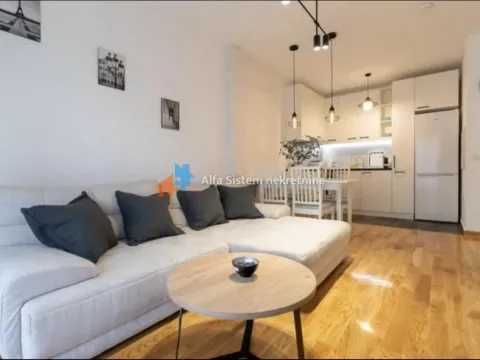 Rent, two bedroom apartment, 43m², Južni Bulevar, Vračar Sve Podlokacije - image 3