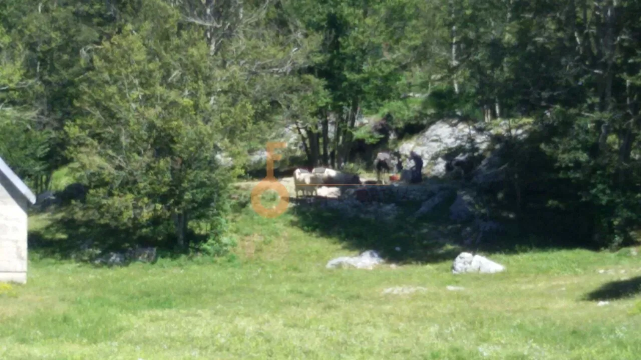 Prodaja, plac, 100000m², Cetinje, Crna Gora