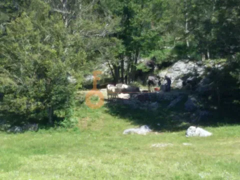 Prodaja, plac, 100000m², Cetinje, Crna Gora - image 8