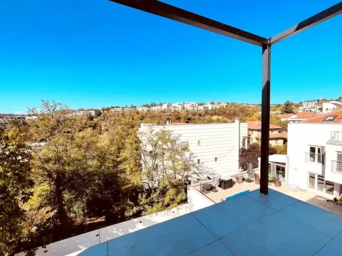 View of the neighborhood and greenery from the terrace. - image 6