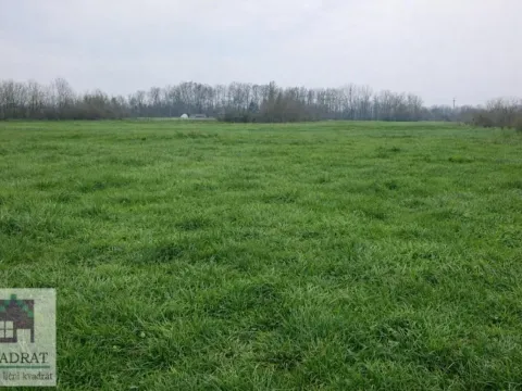 Sale, house, 130m², Poljane, Obrenovac - image 5