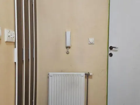 Izdavanje, dvosoban stan, 54m², Liman 4, Novi Sad Sve Podlokacije - image 9