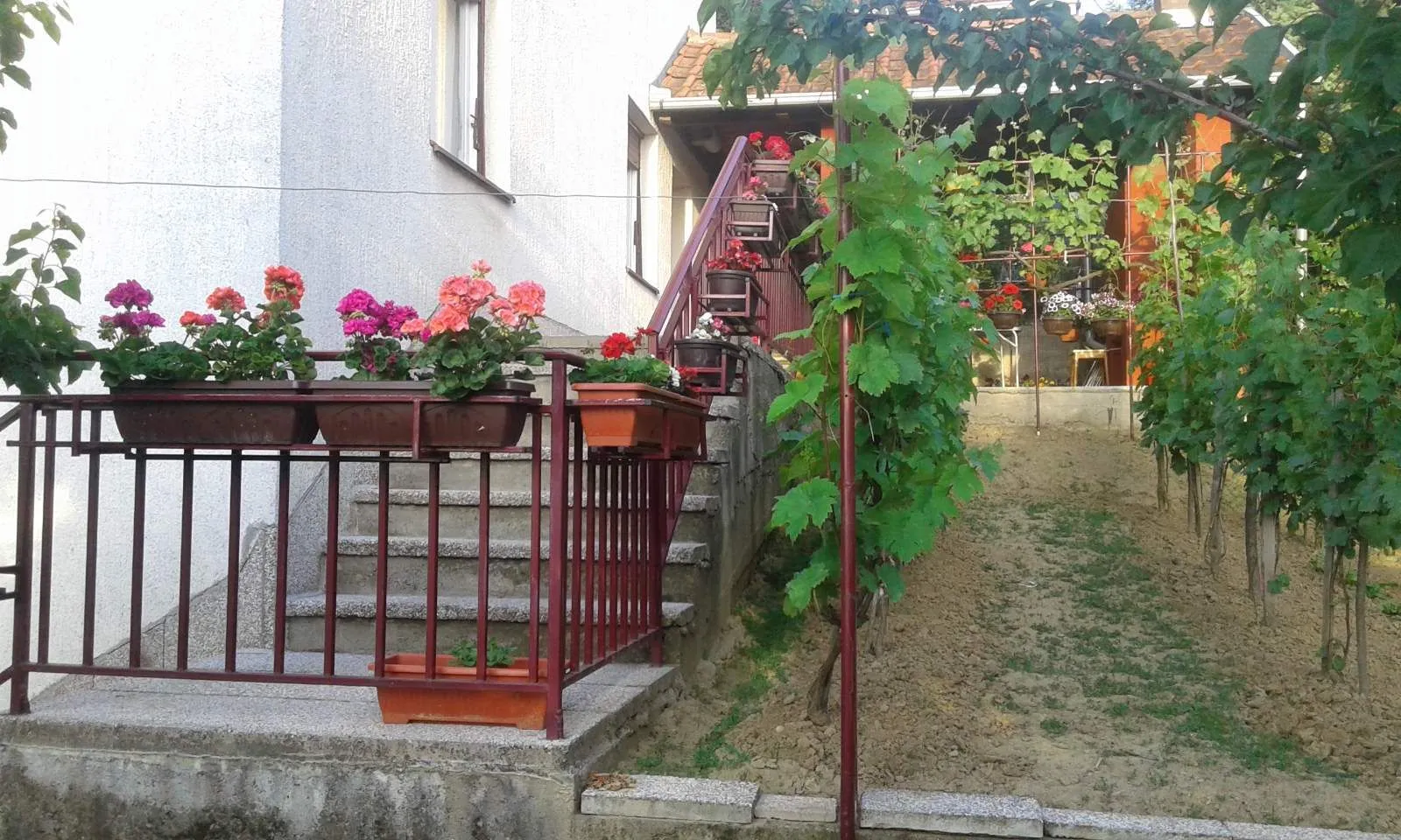 Sale, house, 210m², Sremska Kamenica, Petrovaradin