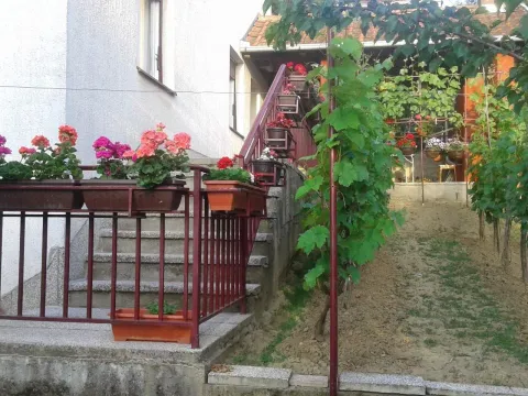 Prodaja, kuća, 210m², Sremska Kamenica, Petrovaradin - image 12