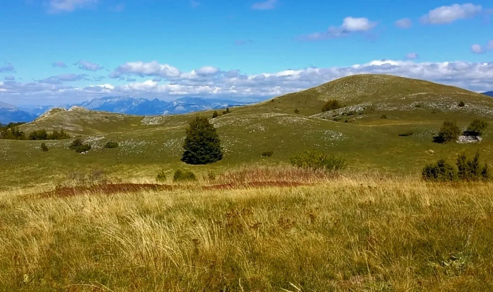 Prodaja, plac, 400000m², Podgorica, Crna Gora