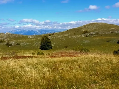 Prodaja, plac, 400000m², Podgorica, Crna Gora - image 8