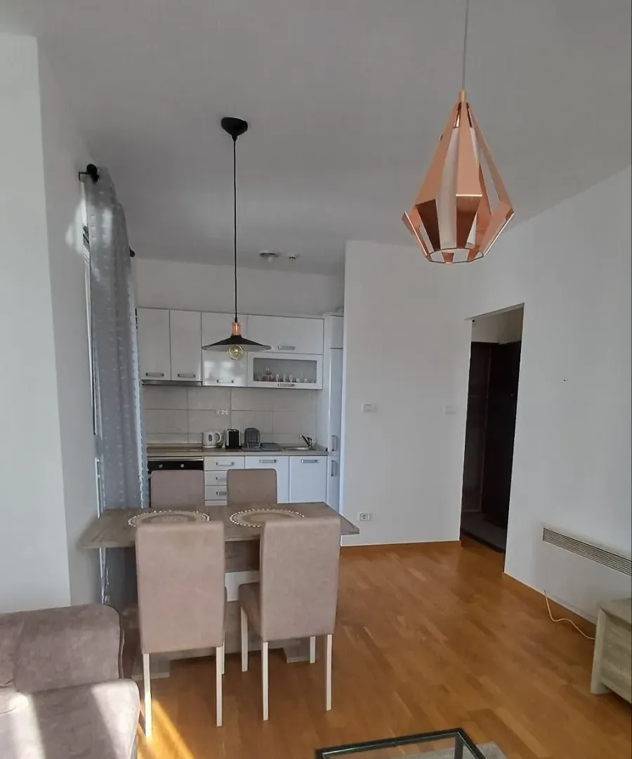 Izdavanje, jednosoban stan, 45m², City Kvart, Podgorica
