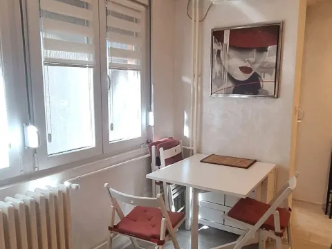 Izdavanje, dvosoban stan, 41m², Vračar Sve Podlokacije, Beograd - image 6