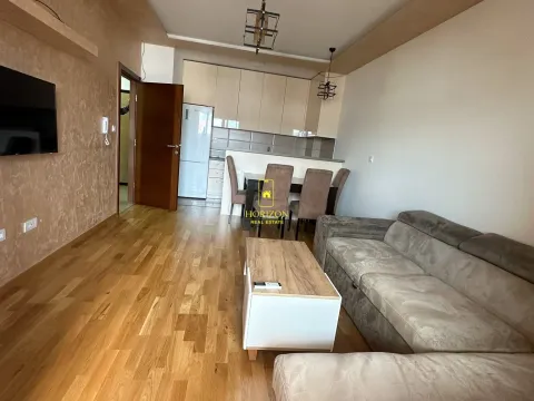 Rent, one bedroom apartment, 52m², Tuški Put, Podgorica - image 3