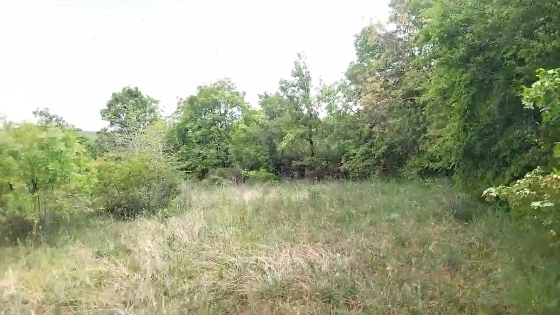 Prodaja, plac, 3493m², Barutana, Podgorica