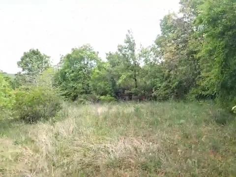 Prodaja, plac, 3493m², Barutana, Podgorica - image 5