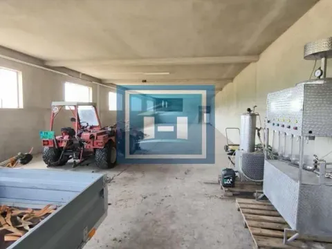 Izdavanje, poslovni prostor, 570m², Stubica, Paraćin - image 13