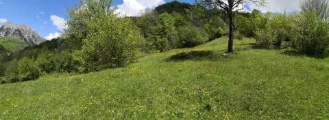 Zelena livada sa drvećem i pogledom na planine u pozadini. - image 4