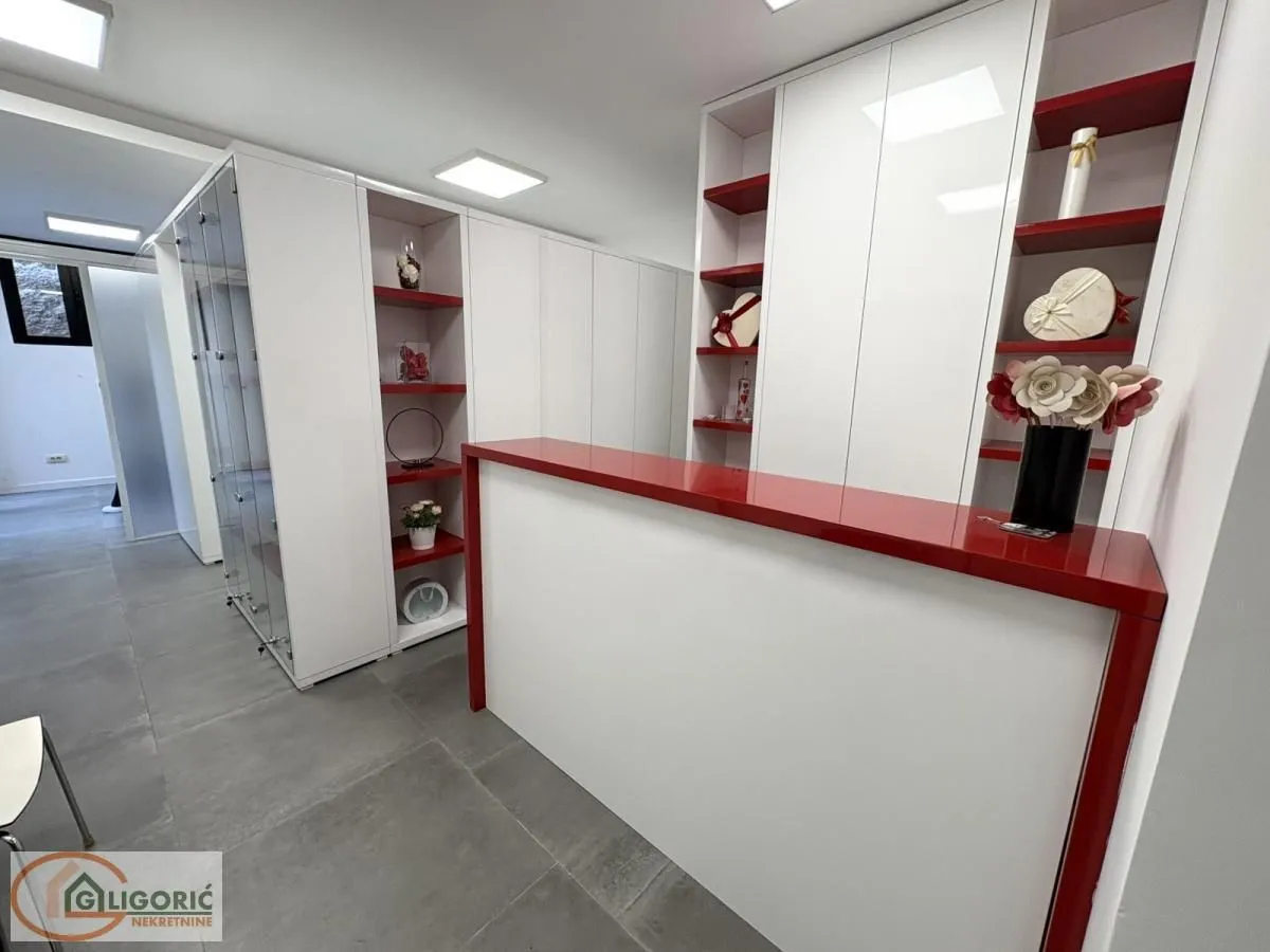 Izdavanje, poslovni prostor, 60m², Južni Bulevar, Vračar Sve Podlokacije