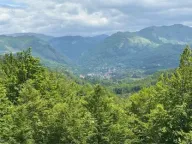 Sale, land lot, 31203m², Žirci, Kolašin - image 5