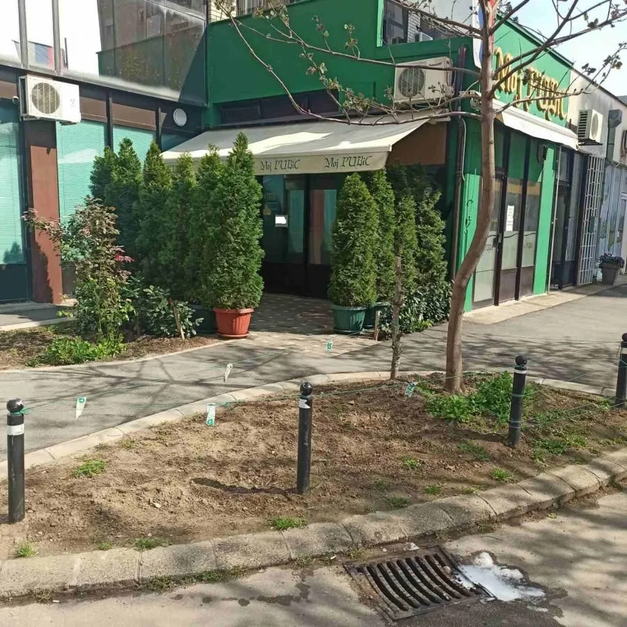 Rent, office space, 32m², Liman 2, Novi Sad Sve Podlokacije