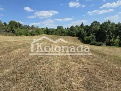 Sale, land lot, 8200m², Babe, Sopot - image 6